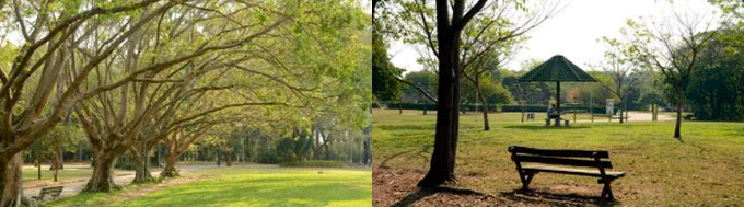 Praça Abílio Rodrigues Paes em Santos