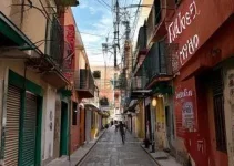 Rua Rosinha Viegas