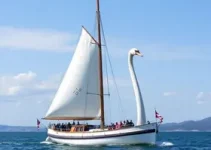 Veleiro Cisne Branco