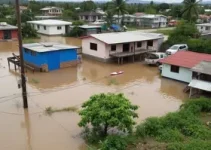 Governo de SP reassenta famílias em Santos