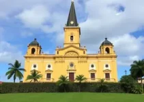 aniversário de Santos