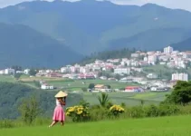 Feira de Economia Solidária