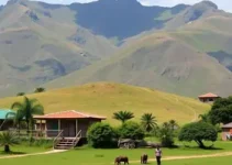 Vilas Criativas em Santos