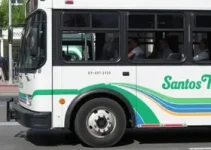 linha 100 transporte Santos