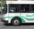 linha 100 transporte Santos