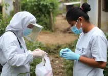 avaliação das larvas do Aedes
