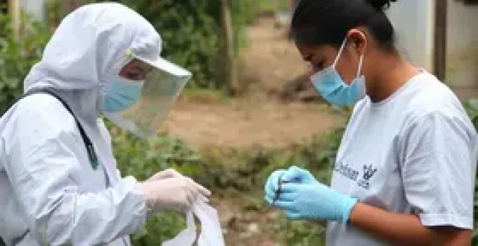 avaliação das larvas do Aedes