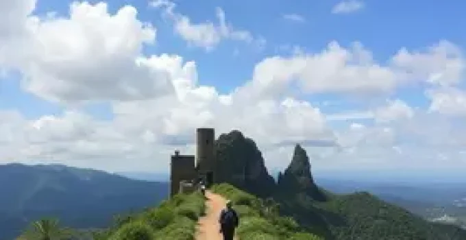 Parque dos Morros de Santos