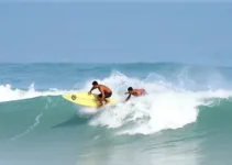surfistas de Santos
