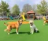 Zona Noroeste espaço para lazer dos pets