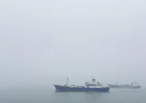 nevoeiro no litoral de SP