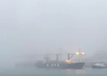 nevoeiro Porto de Santos