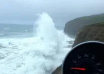 ALERTA NO LITORAL