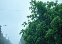 chuva e vento em Santos