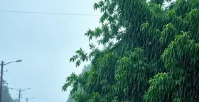 chuva e vento em Santos
