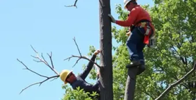 Defesa Civil Santos