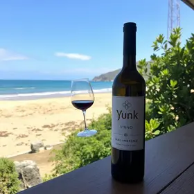 Yunk Vino em Santos