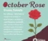 Outubro Rosa