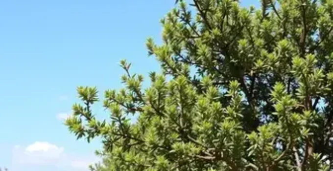 mudanças climáticas