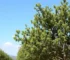 mudanças climáticas