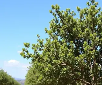 mudanças climáticas